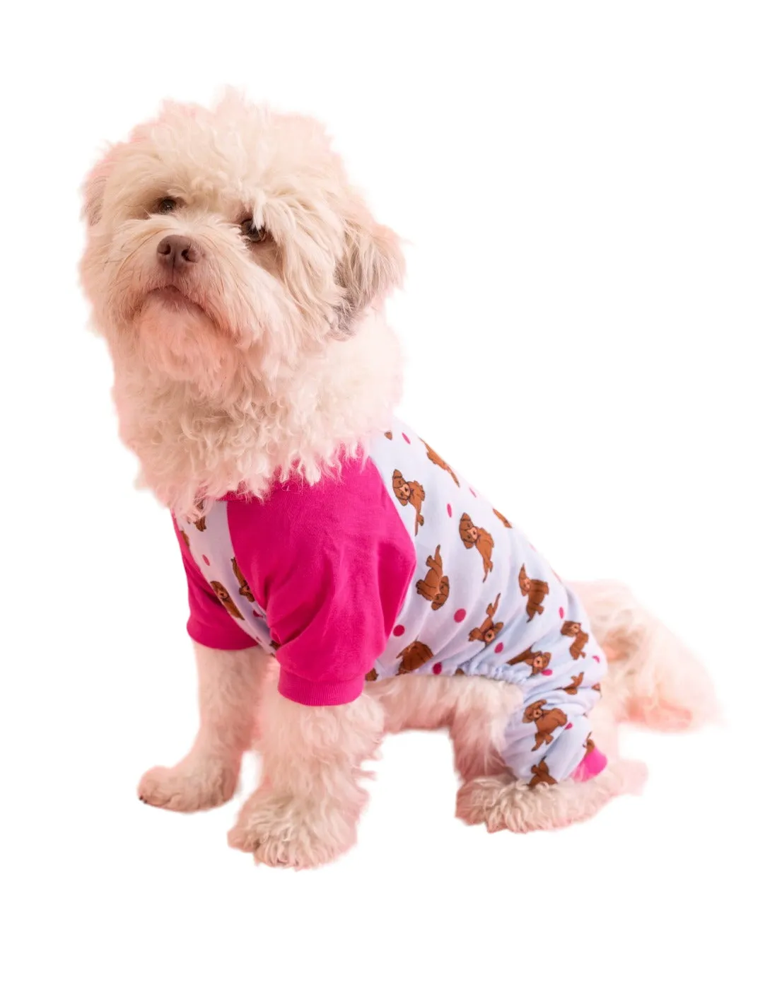 Dog Print Pajamas