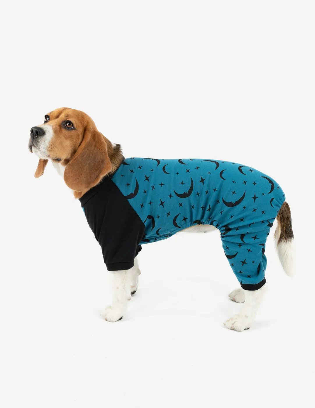 Dog Print Pajamas