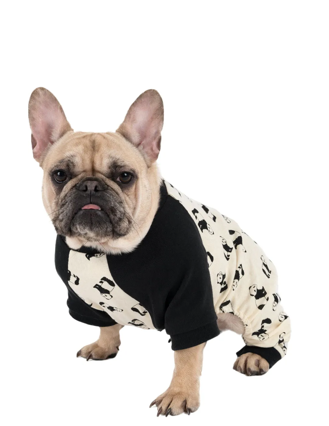 Dog Print Pajamas