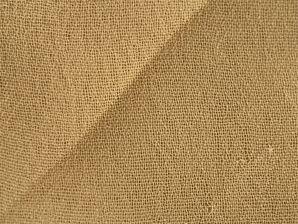 Macaroon Beige Plain 60 Grams Georgette Fabric